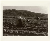 〈蔗田農婦〉藏品圖，第1張