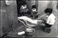 《海島的呼喚》系列6：〈功課〉藏品圖，第2張