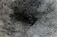 〈死〉藏品圖，第1張