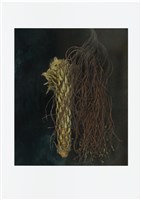 「植物誌(二)」系列：〈巫醫-幸運符〉藏品圖，第1張