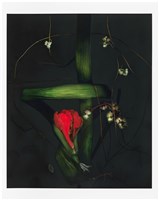 「植物誌(二)」系列：〈巫醫-巫醫項鍊〉藏品圖，第1張