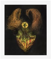 「植物誌(二)」系列：〈巫醫-巫醫之心〉藏品圖，第1張