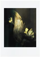 「植物誌(二)」系列：〈東方情境-射干籽檸檬天竺葵〉藏品圖，第1張