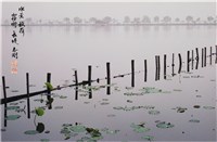 〈水景秋荷 霧樹長堤〉藏品圖，第1張