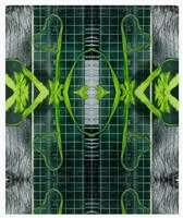 《植物誌 0.5》系列：〈鳳尾3〉藏品圖，第1張