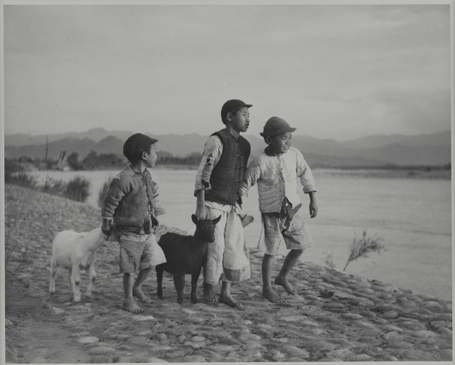 Child Shepherds