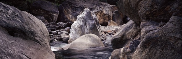 Taroko