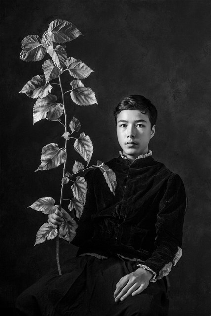 微塵聖像:嫩枝的圖片