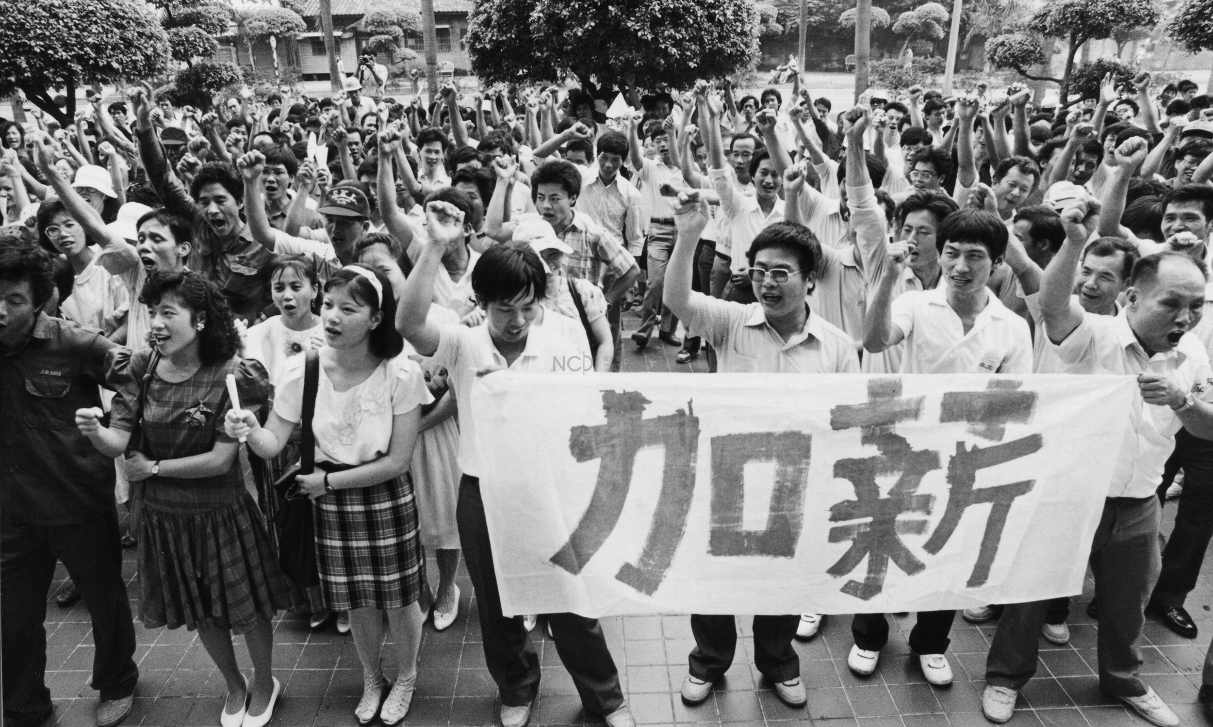 大圖瀏覽