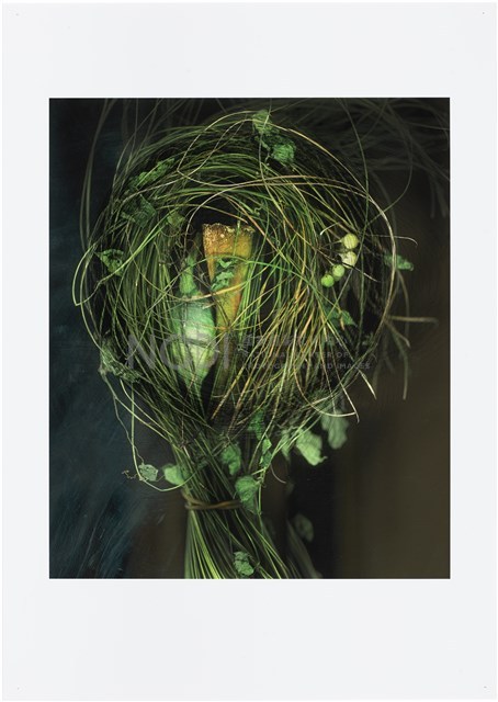 《植物誌(二)》系列：〈巫醫-扎草人〉藏品圖，第1張