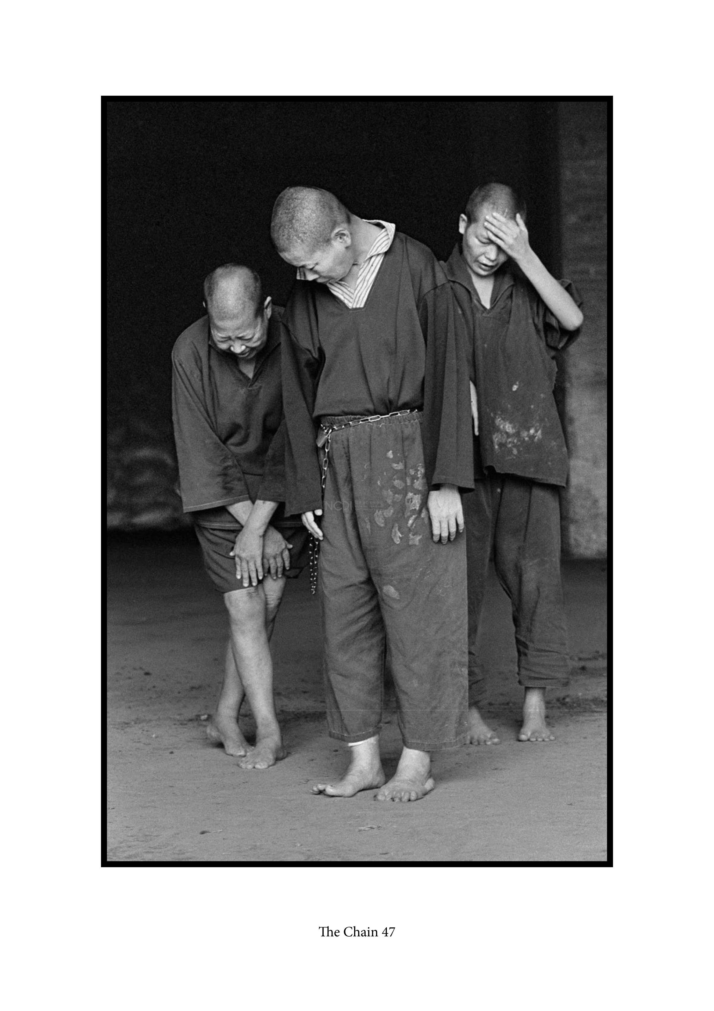 大圖瀏覽