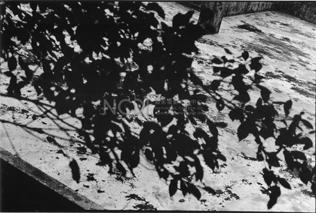 《迢迢路》藏品圖，第2張