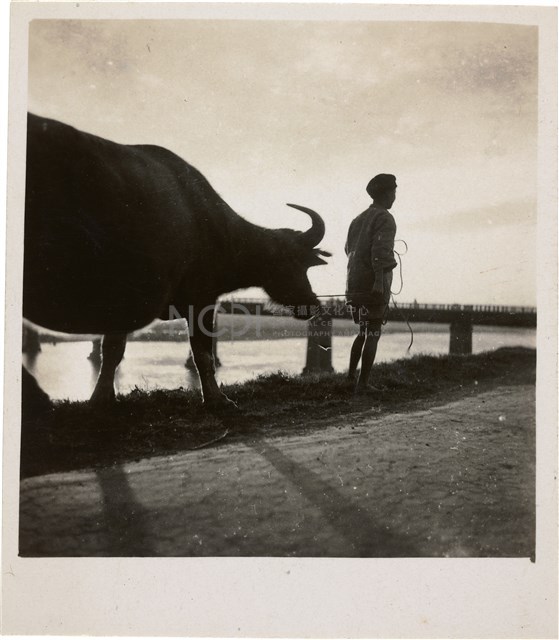 Contact Prints-2 Collection Image, Figure 7, Total 28 Figures