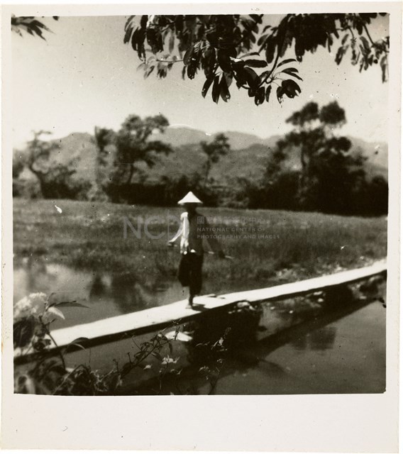 Contact Prints-2 Collection Image, Figure 8, Total 28 Figures