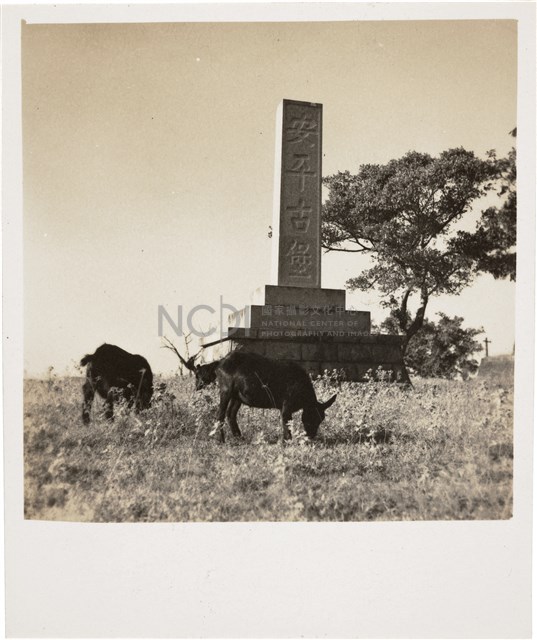 Contact Prints-2 Collection Image, Figure 3, Total 28 Figures