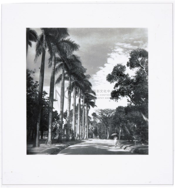 Contact Prints-2 Collection Image, Figure 16, Total 28 Figures