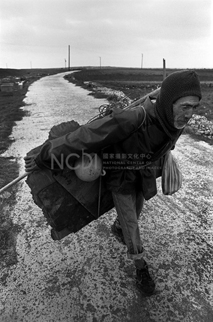《海島的呼喚》系列15：〈尋無魚〉藏品圖，第2張