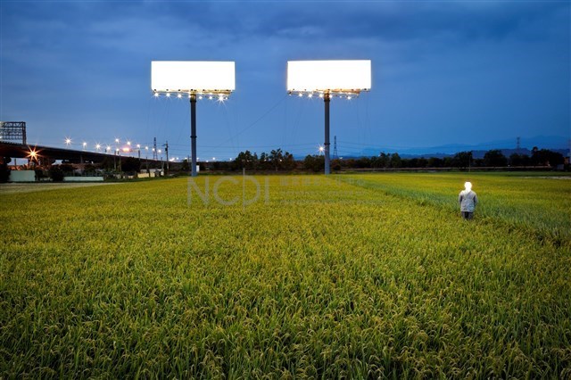 〈台灣「美景」：T霸與稻田〉藏品圖，第1張