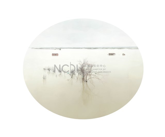 〈台灣水沒10:嘉義縣東石鄉鰲鼓村魚塭(三)〉藏品圖，第1張