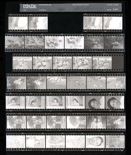 吳紹同135底片264藏品圖，第1張