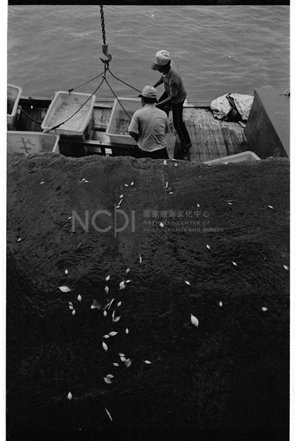 劉安明底片捲01(L010)藏品圖，第13張