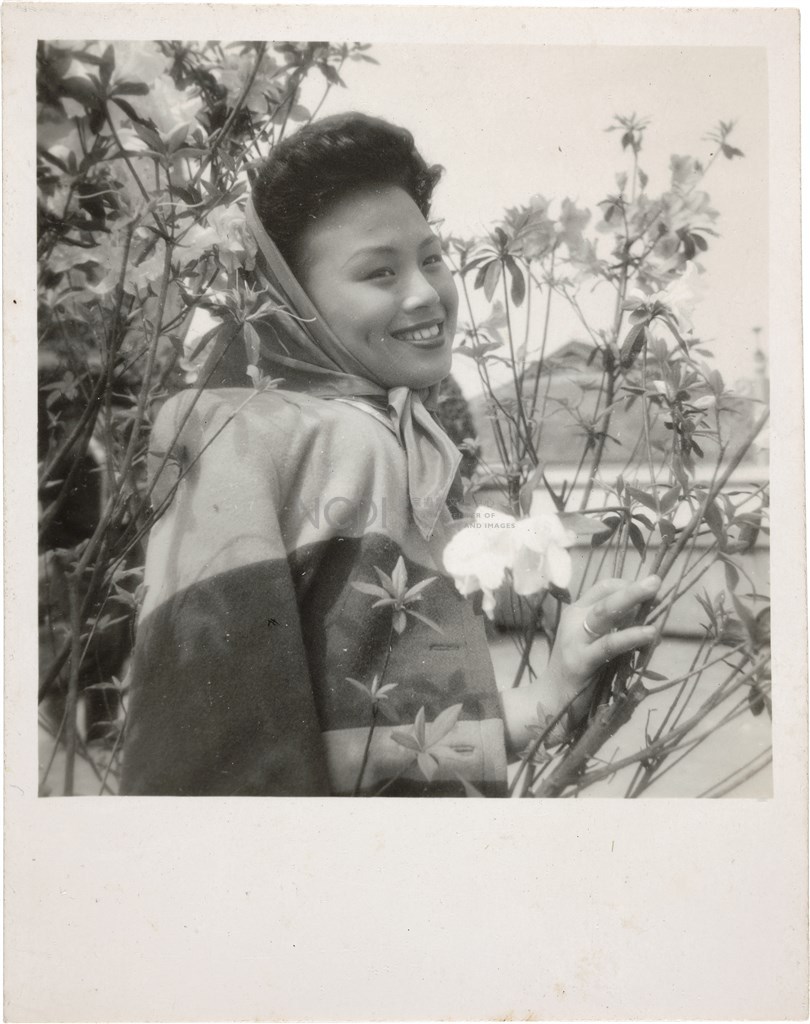 大圖瀏覽