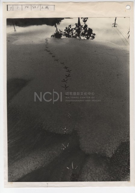 作品集第一冊：〈路〉四幅之四藏品圖，第1張