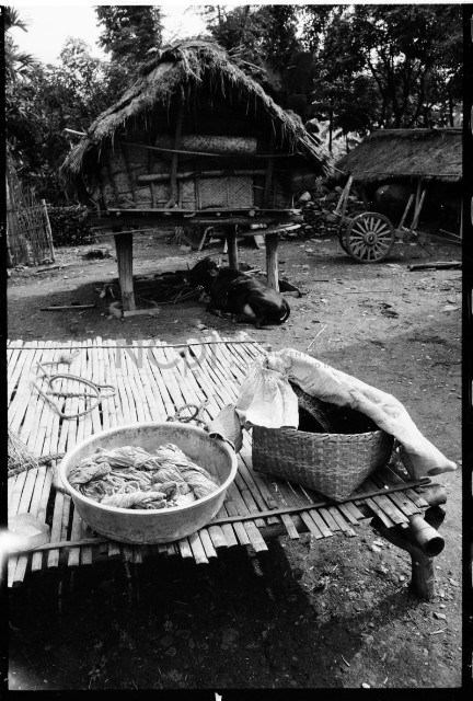 〈山家雜糧〉藏品圖，第1張