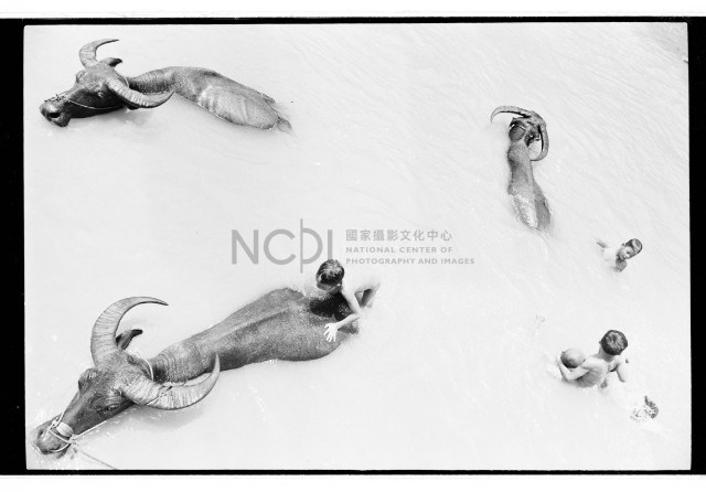 歡樂暑暇藏品圖，第1張