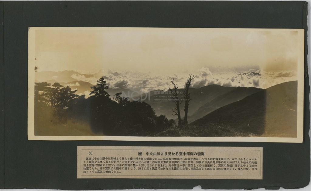 大圖瀏覽