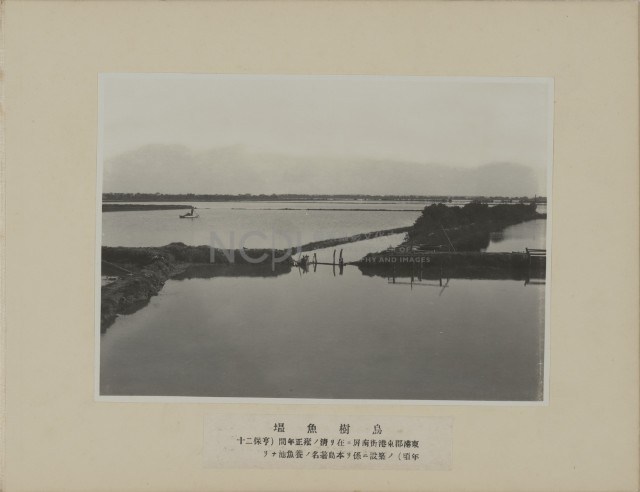 烏樹魚塭藏品圖，第1張