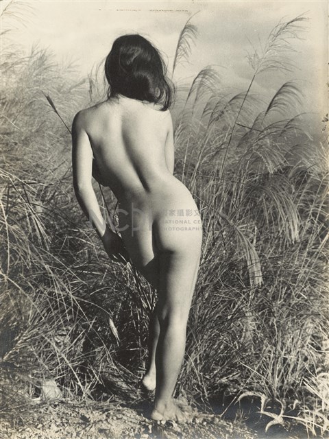 林絲緞藏品圖，第1張