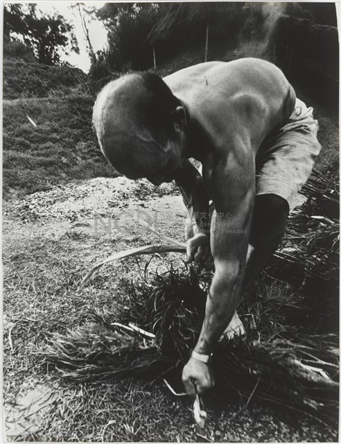 《汗流脈絡》系列18藏品圖，第1張