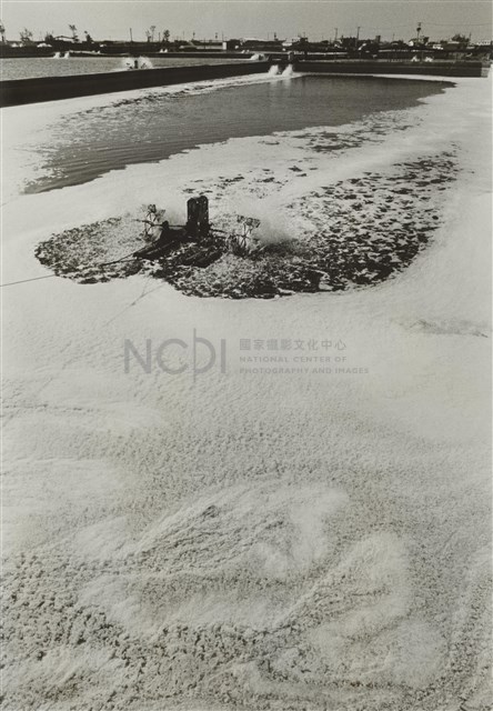 魚塭藏品圖，第1張