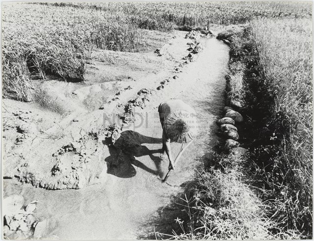 《汗流脈絡》系列 13藏品圖，第1張