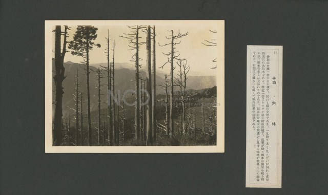 臺灣寫真大觀(山岳編)11藏品圖，第1張