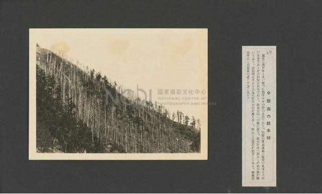 臺灣寫真大觀(山岳編)29藏品圖，第1張