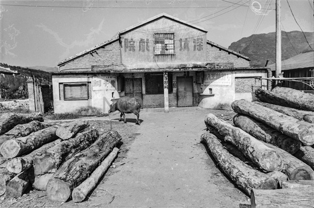 李悌欽135底片卷28-10藏品圖，第1張