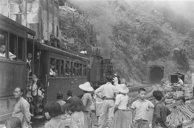 再遊阿里山藏品圖，第1張