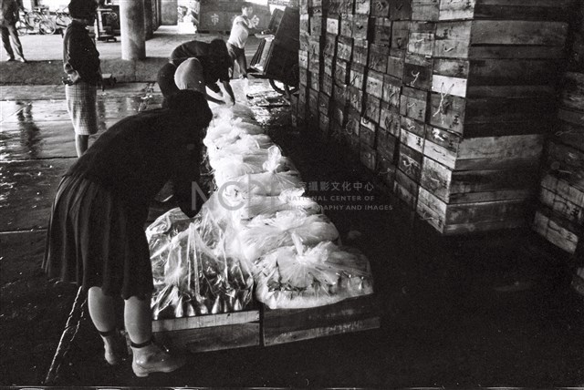 李悌欽135底片卷31-12藏品圖，第1張