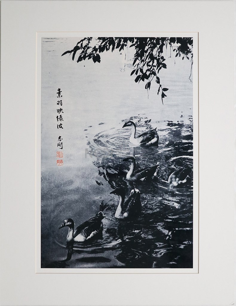 大圖瀏覽