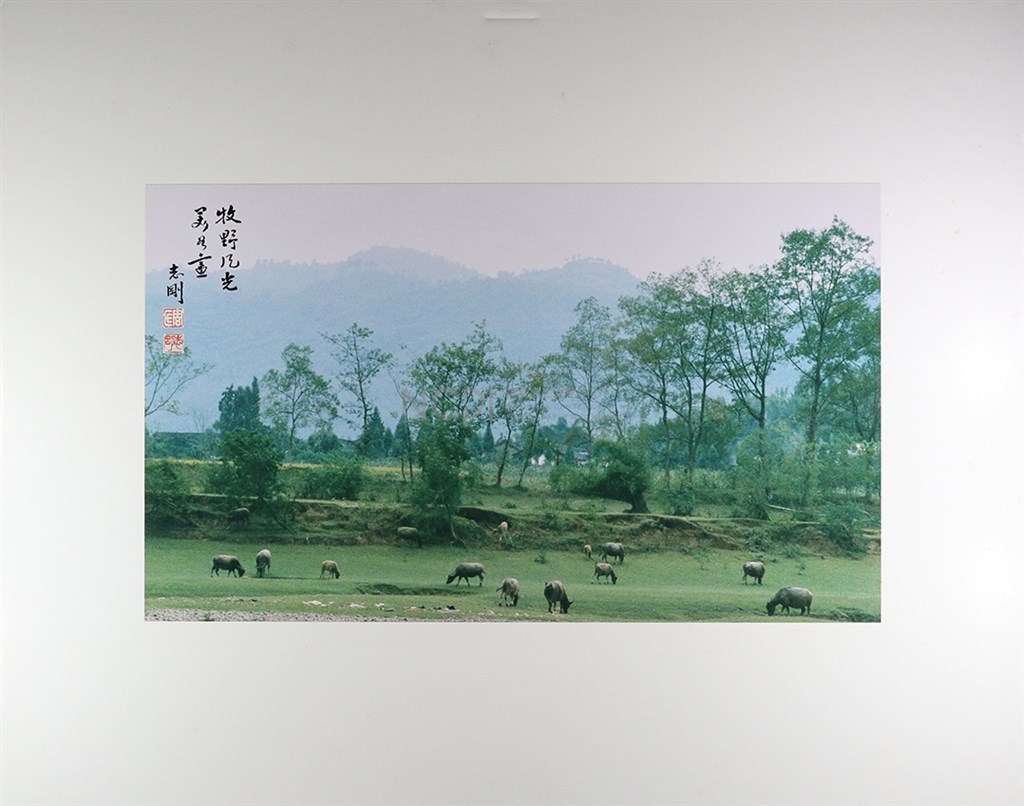 大圖瀏覽