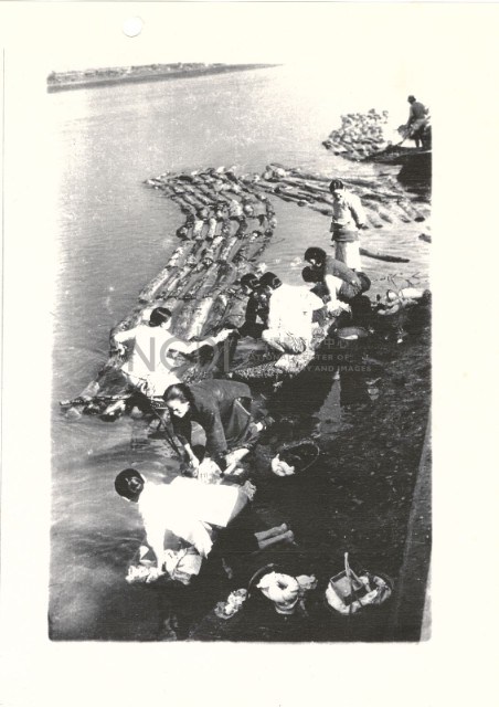 洗衣藏品圖，第1張