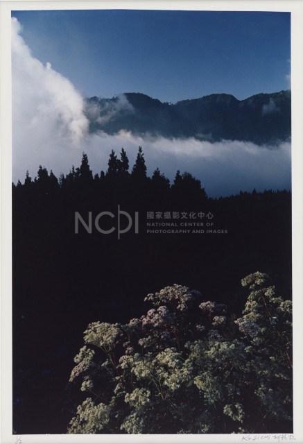 〈阿里山〉藏品圖，第1張