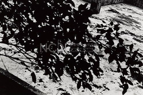 《迢迢路》藏品圖，第1張