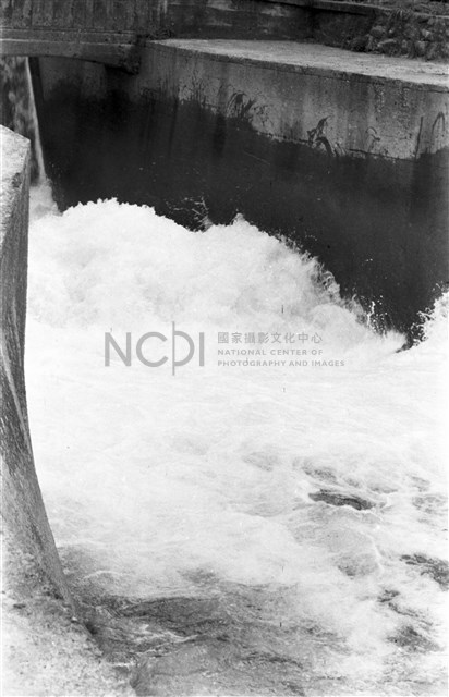 吳紹同135底片264-04藏品圖，第1張