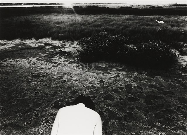 沼澤藏品圖，第1張