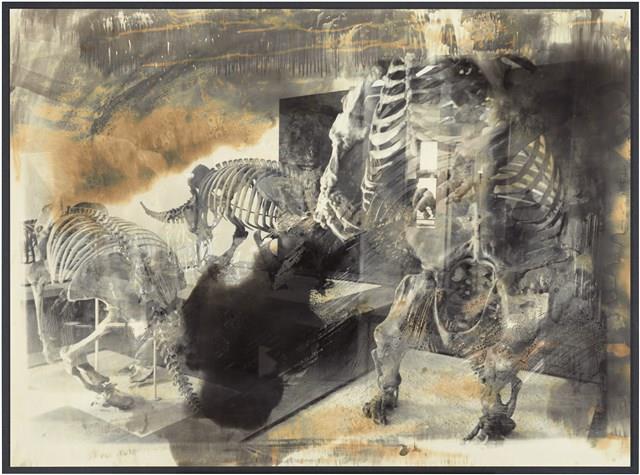 「博物館」系列：〈長毛象〉藏品圖，第1張