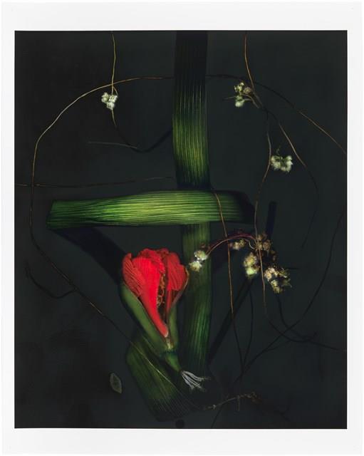 「植物誌(二)」系列：〈巫醫-巫醫項鍊〉藏品圖，第1張