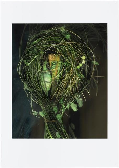 「植物誌(二)」系列：〈巫醫-扎草人〉藏品圖，第1張